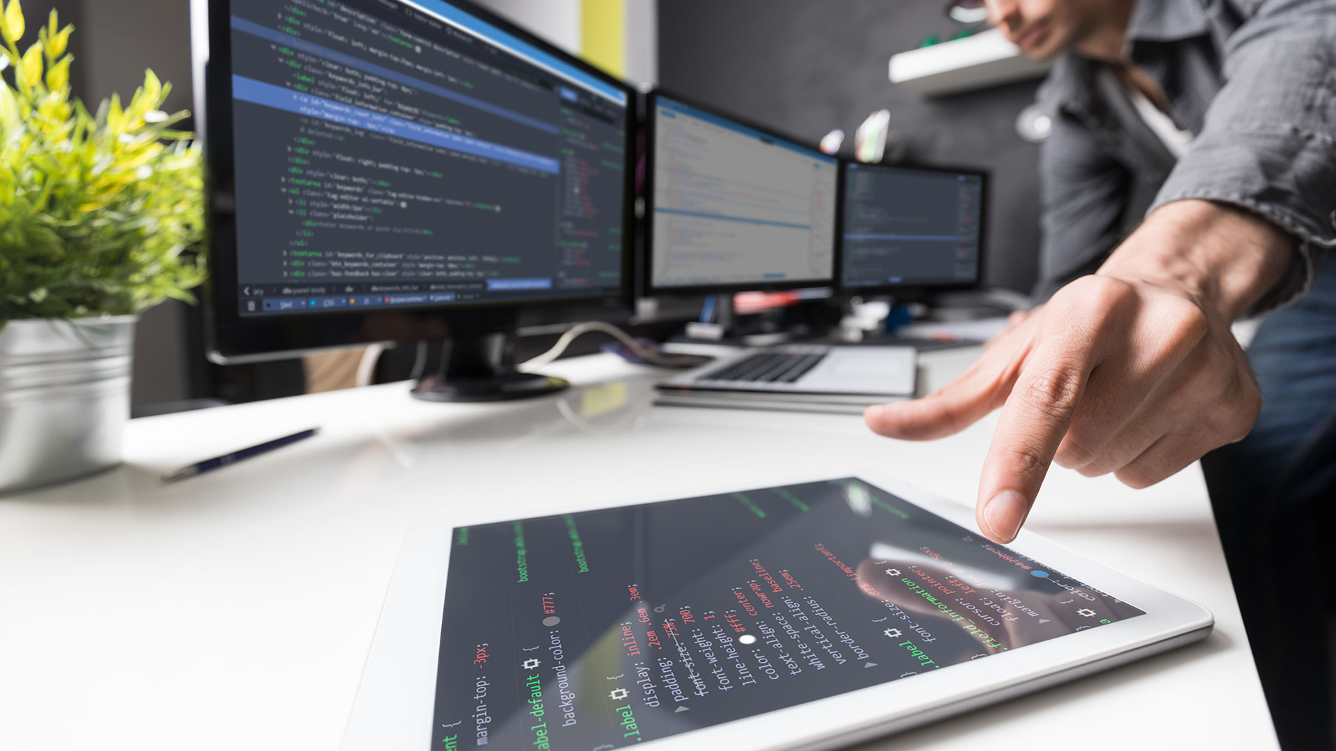 Equipo de desarrollo